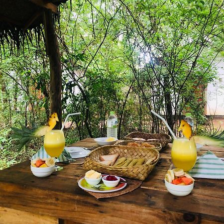 Grand Freedom Bed & Breakfast Sigiriya Dış mekan fotoğraf