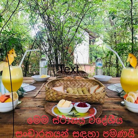 Grand Freedom Bed & Breakfast Sigiriya Dış mekan fotoğraf