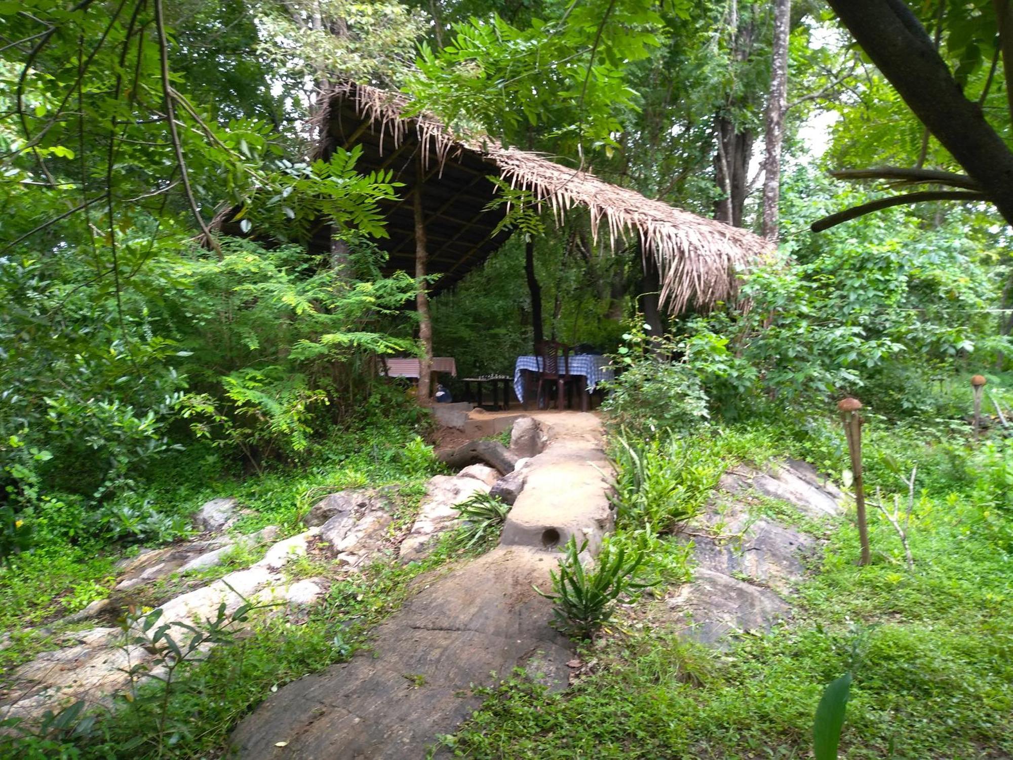 Grand Freedom Bed & Breakfast Sigiriya Oda fotoğraf
