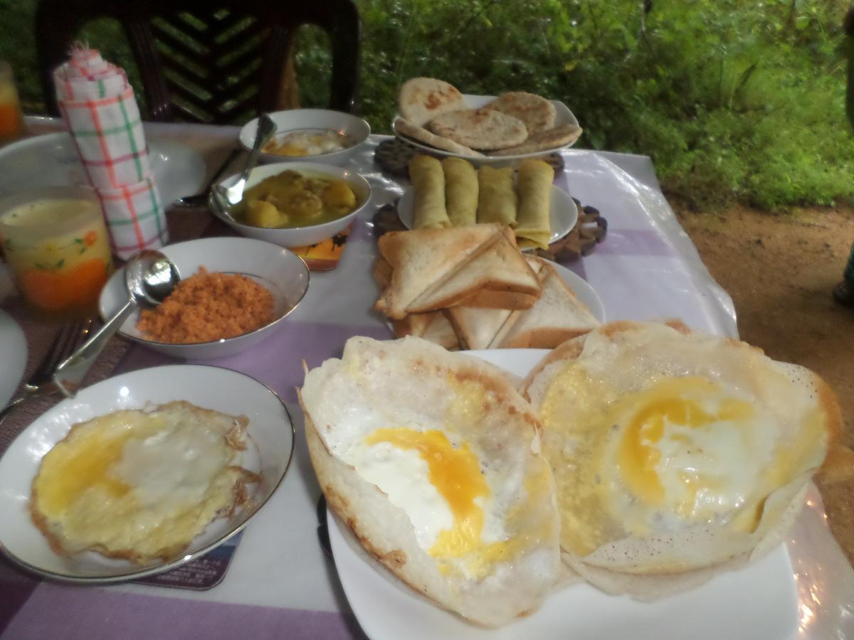 Grand Freedom Bed & Breakfast Sigiriya Dış mekan fotoğraf