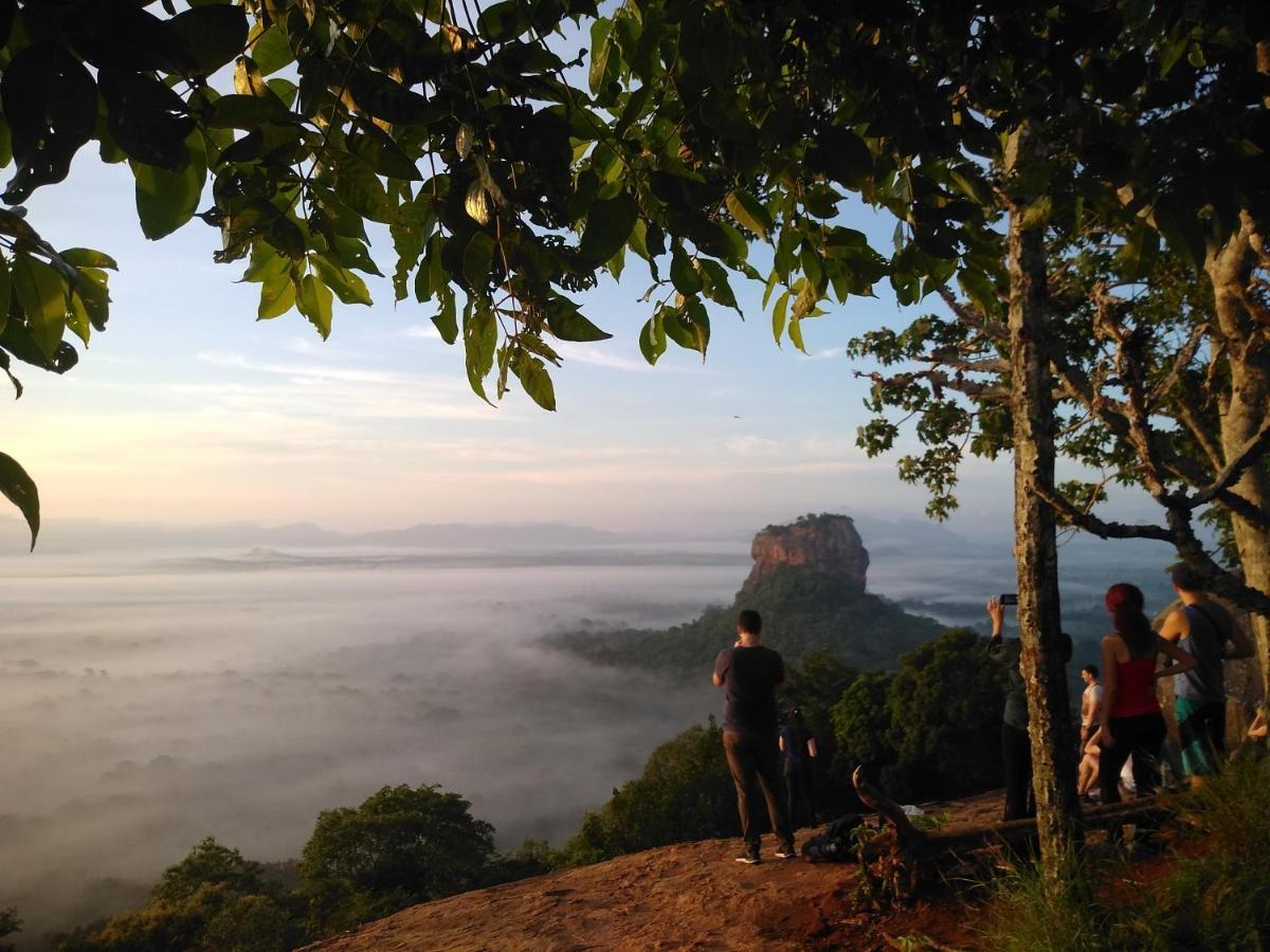 Grand Freedom Bed & Breakfast Sigiriya Dış mekan fotoğraf